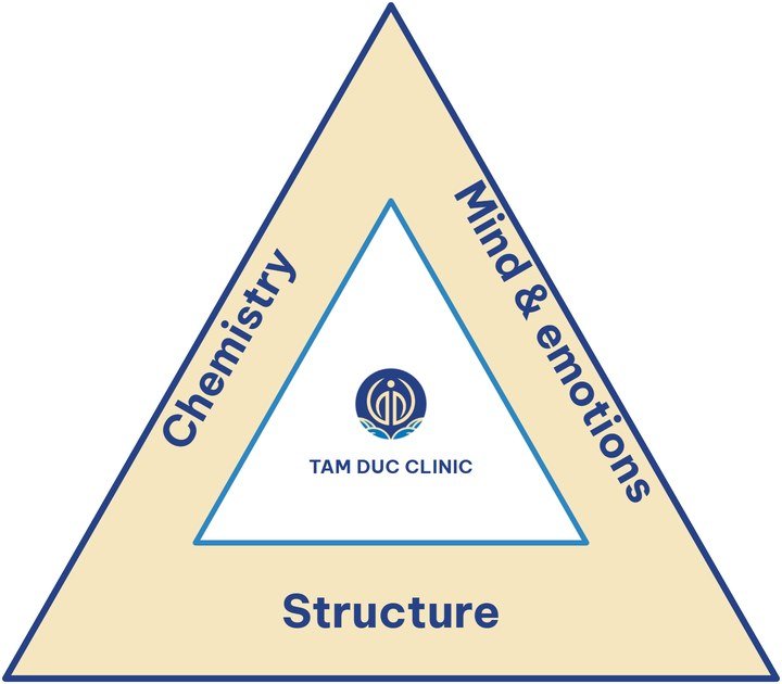The health triangle: Structure – Chemistry – Mind and emotions