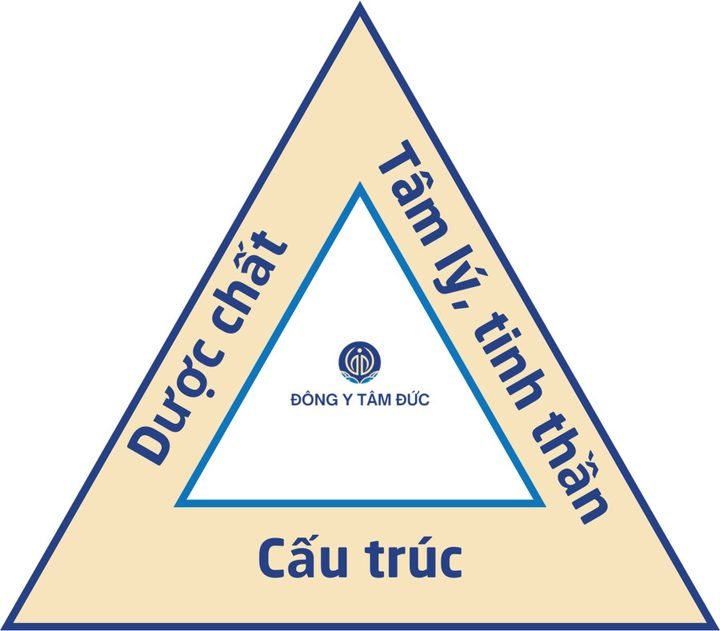 Tam giác sức khỏe: Cấu trúc – Dược chất – Tâm lý, tinh thần