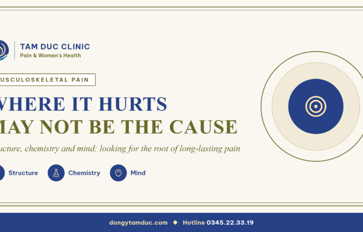 Neck, shoulder or back pain that keeps coming back: where it hurts may not be where the problem is