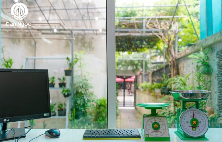 Về chúng tôi | Phòng khám Đan Ngọc