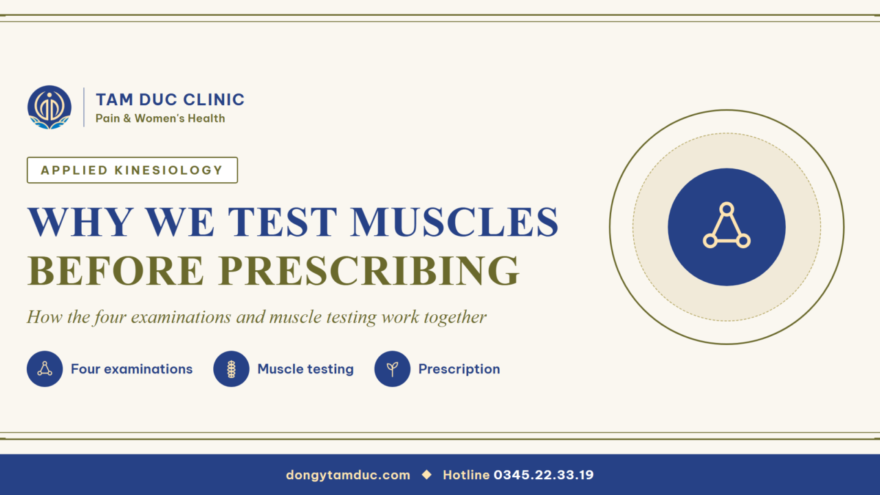 After taking your pulse, why does the doctor test your muscles before prescribing?