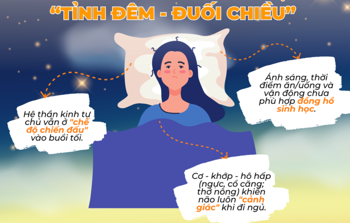 "Vì sao bạn mệt vào chiều, tỉnh vào đêm và không thể ngủ sâu?": Đồng hồ sinh học dưới góc nhìn Applied Kinesio