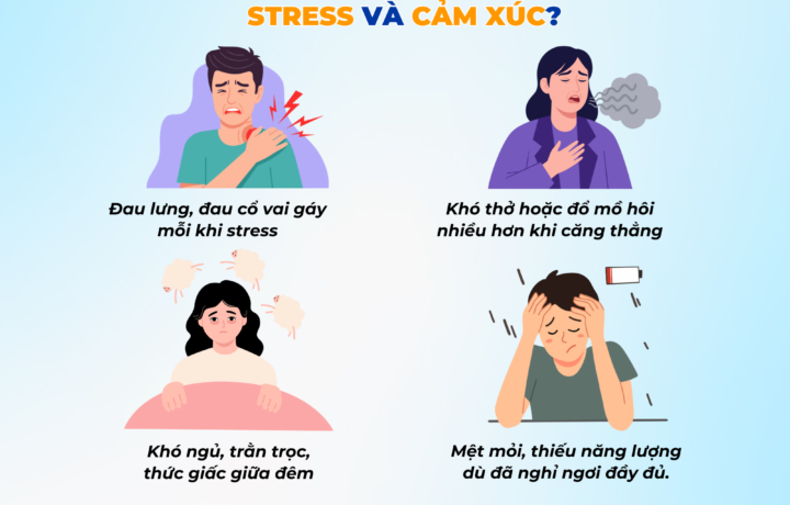 Căng thẳng, stress, buồn,… Khi cảm xúc mỗi ngày ảnh hưởng sức khỏe của bạn!