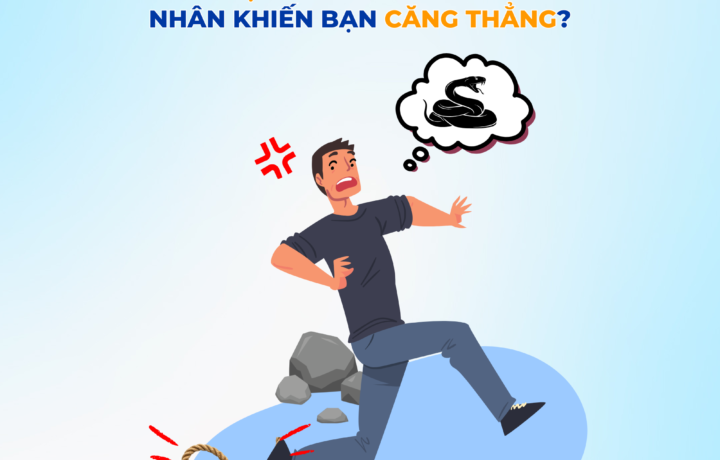 Stress "ẩn sâu" trong Hạch hạnh nhân – khi nỗi sợ xưa cũ vẫn âm thầm điều khiển cơ thể