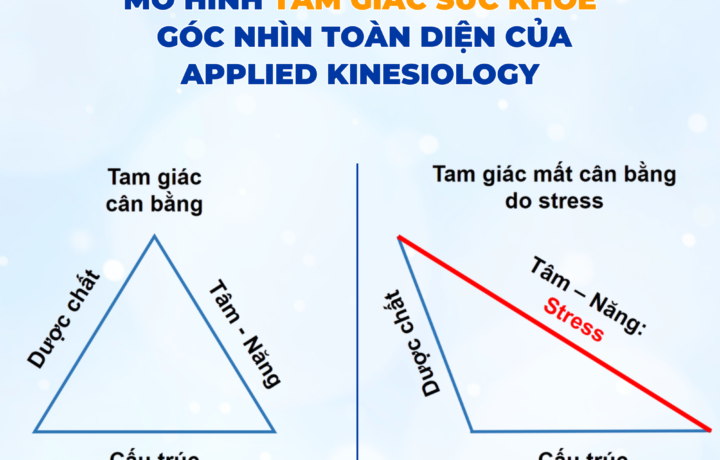Tam giác sức khỏe – Góc nhìn toàn diện của Applied Kinesiology