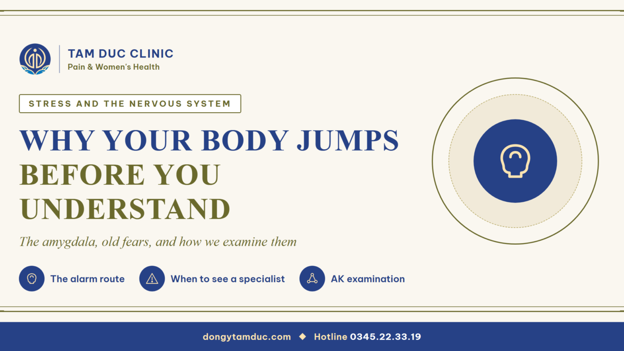 Why your body jumps before you understand what happened