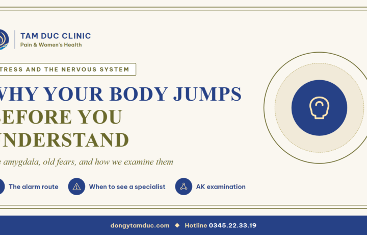 Why your body jumps before you understand what happened