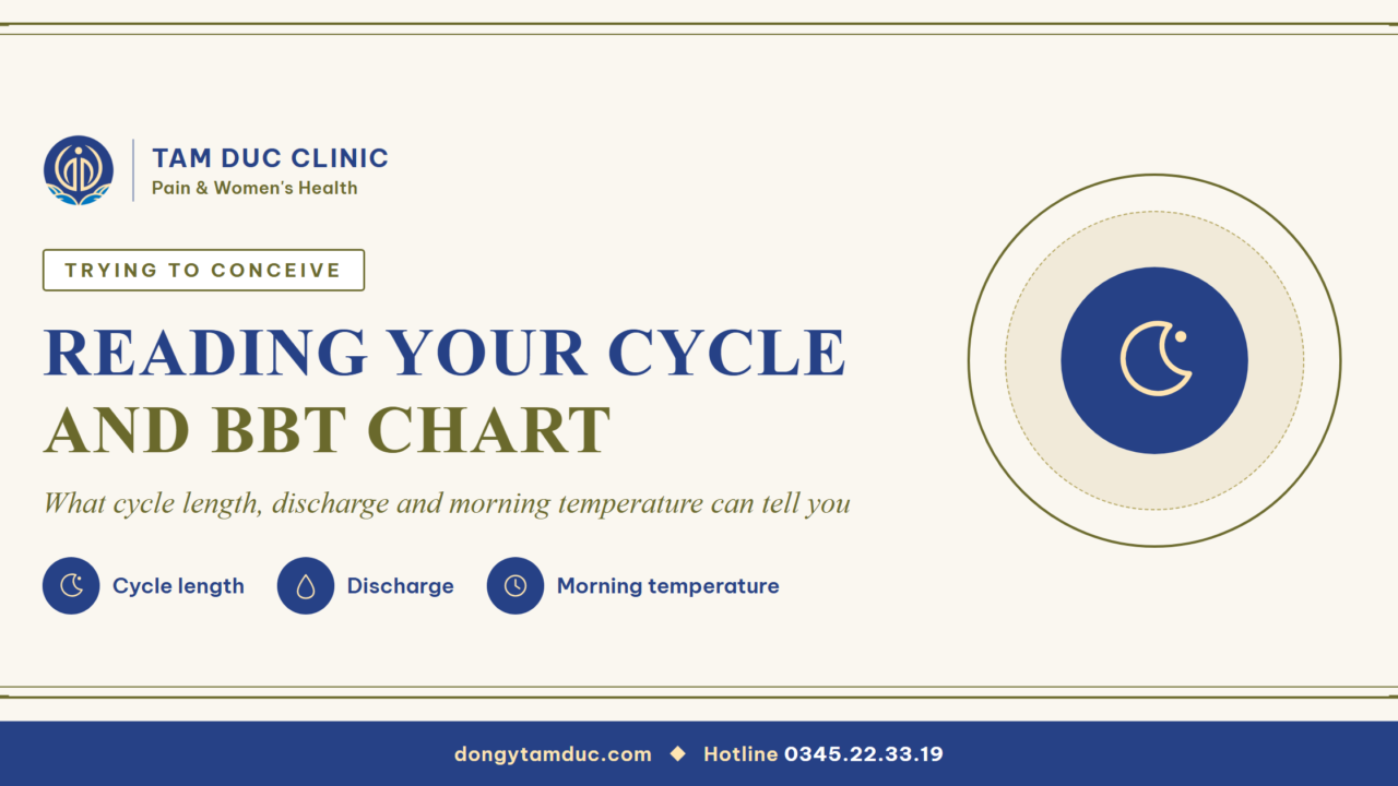 Trying to conceive: reading your menstrual cycle and basal body temperature chart