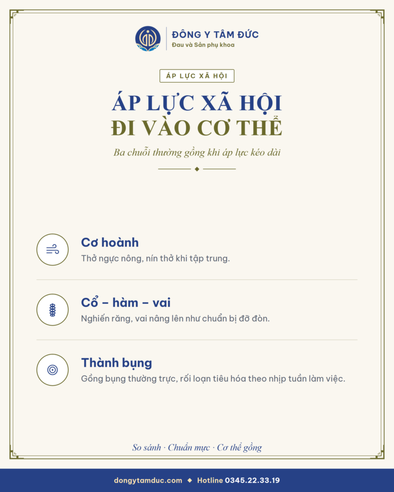 Tóm tắt: Áp lực xã hội đi vào cơ thể như thế nào - Đông y Tâm Đức