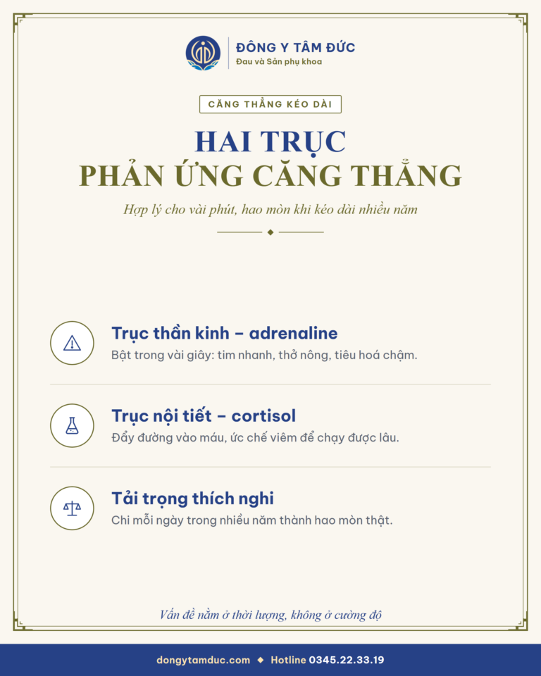 Tóm tắt: Vì sao đi khám tổng quát ba lần vẫn "không có gì", mà người vẫn mệt - Đông y Tâm Đức