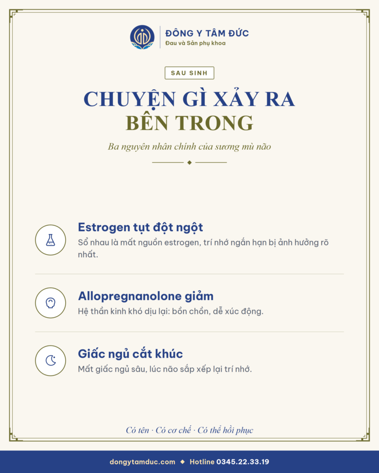 Tóm tắt: Sương mù não sau sinh: vì sao chị hay quên và điều đó không phải lỗi của chị - Đông y Tâm Đức