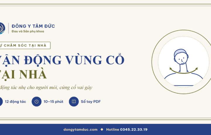 Vận động vùng cổ tại nhà: 12 động tác nhẹ và sổ tay tải về