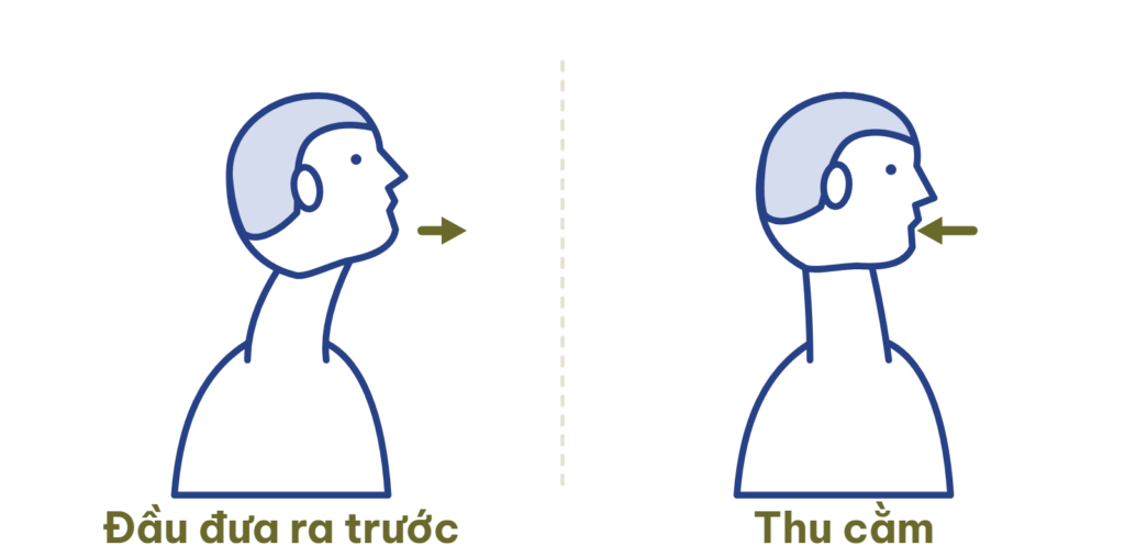 Thu cằm: đầu lùi về trên vai, không cúi