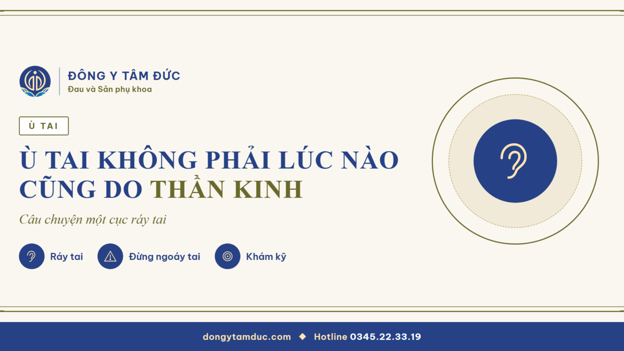 Ù tai không phải lúc nào cũng do thần kinh - Đông y Tâm Đức