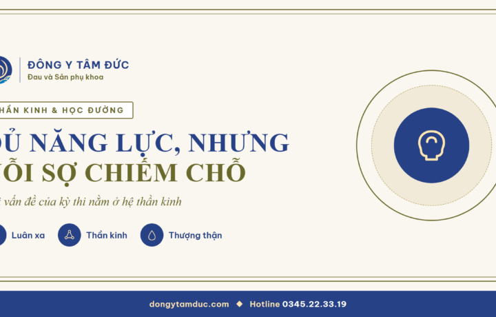 Học giỏi nhưng vào phòng thi lại mất điểm, đôi khi vì nỗi sợ nằm trong hệ thần kinh